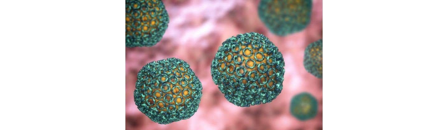 Valley Fever Awareness Training